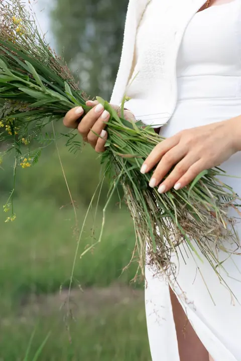 Plantes médicinales